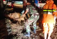 Longsor Di Desa Genting Babinsa Bergerak Cepat Terjun di Lokas