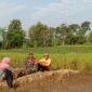 Babinsa Koramil  12/Simo Kodim 0724/Boyolali Sertu Widodo Khaeroni turun kesawah di desa binaan guna untuk memberikan motivasi dan dukungannya terhadap petani