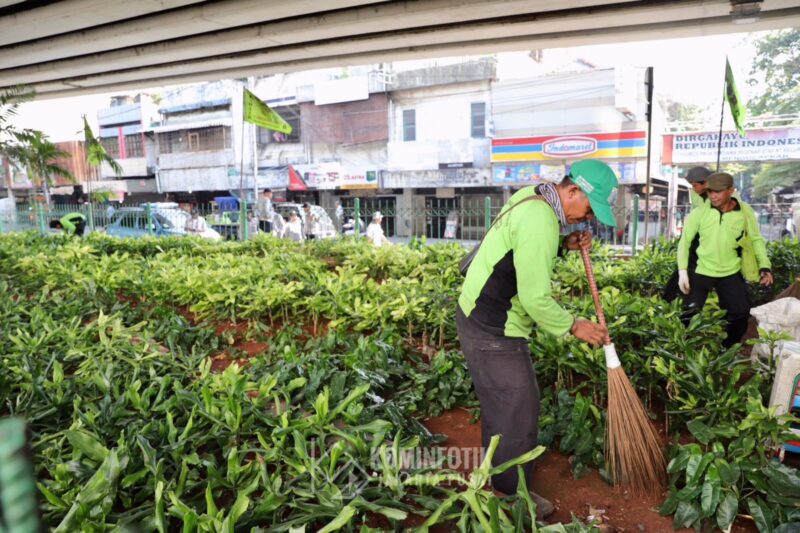 Pemerintah Kota (Pemkot) Administrasi Jakarta Pusat membuat taman yang terletak di Jalan KH. Hasyim Ashari, tepatnya di kolong fly over depan ITC Roxy Mas, Selasa