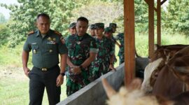 Foto: Danrem 081/DSJ, Kolonel Arm Untoro Hariyanto meninjau lahan Pilot Project Ketahanan Pangan Terpadu Kodim 0803/Madiun di Desa Pajaran, Kecamatan Saradan, Kabupaten Madiun