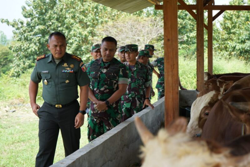 Foto: Danrem 081/DSJ, Kolonel Arm Untoro Hariyanto meninjau lahan Pilot Project Ketahanan Pangan Terpadu Kodim 0803/Madiun di Desa Pajaran, Kecamatan Saradan, Kabupaten Madiun