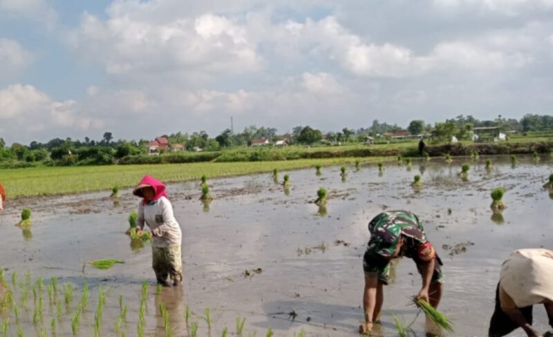 Foto: Berkubang Lumpur, Semangat Babinsa Kromasan Tak Pernah Surut