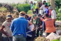 Babinsa Desa Sumberagung Koramil 0808/15 Gandusari Kodim 0808/Blitar Serda Candra bersama warga yang tergabung dalam Kelompok Tani (Poktan) Tirto Agung Dusun Loding RT. 1 RW. 6 Desa Sumberagung Kecamatan Gandusari Kab. Blitar