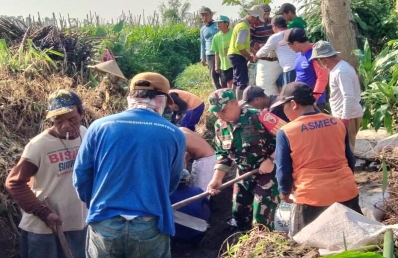 Babinsa Desa Sumberagung Koramil 0808/15 Gandusari Kodim 0808/Blitar Serda Candra bersama warga yang tergabung dalam Kelompok Tani (Poktan) Tirto Agung Dusun Loding RT. 1 RW. 6 Desa Sumberagung Kecamatan Gandusari Kab. Blitar