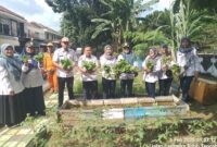 Kelurahan Cempaka Putih Timur yang mewakili Kecamatan Cempaka Putih mempunyai nilai kriteria
