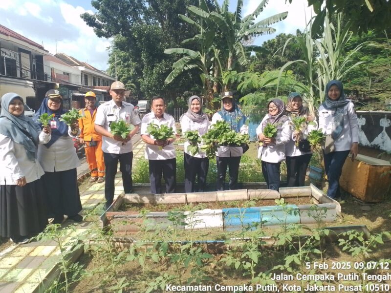 Kelurahan Cempaka Putih Timur yang mewakili Kecamatan Cempaka Putih mempunyai nilai kriteria
