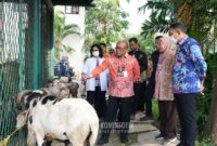 Drs. Arifin Wali Kota Jakpus cek Hewan korban 