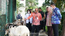 Drs. Arifin Wali Kota Jakpus cek Hewan korban 