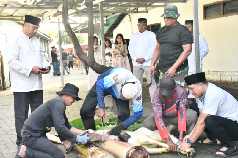 Korem 081/DSJ menyembelih hewan kurban sebanyak 1 ekor sapi dan 5 ekor kambing.