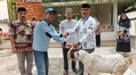 Camat Cempaka Putih Berbagi Qurban, Tiga Kelurahan Terima Bantuan Hewan
