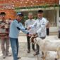 Camat Cempaka Putih Berbagi Qurban, Tiga Kelurahan Terima Bantuan Hewan
