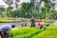 Pangan Tangguh, Bangsa Kuat: Sorotan Danrem 081/DSJ soal Ketahanan Pangan Nasional