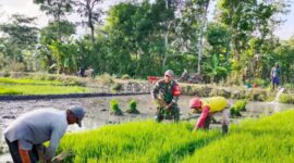 Pangan Tangguh, Bangsa Kuat: Sorotan Danrem 081/DSJ soal Ketahanan Pangan Nasional