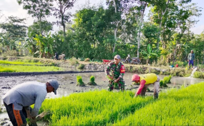 Pangan Tangguh, Bangsa Kuat: Sorotan Danrem 081/DSJ soal Ketahanan Pangan Nasional
