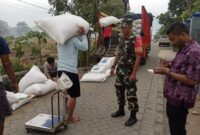 Babinsa Trenggalek Kawal Penyerapan Gabah, Petani Dapat Kepastian Harga