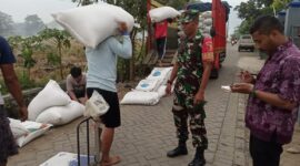 Babinsa Trenggalek Kawal Penyerapan Gabah, Petani Dapat Kepastian Harga