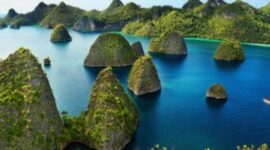Foto: Pulau Raja Ampat, Papua Barat Daya. (Dok-Istimewa)