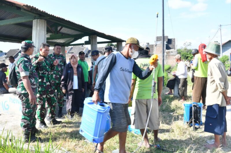 Hama Wereng Batang Cokelat Meluas, Kodim 0802/Ponorogo Tak Tinggal Diam