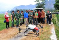 Sawah Diserang Wereng, TNI dan Petani Angkat Drone Jadi Senjata Utama