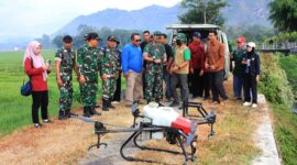 Sawah Diserang Wereng, TNI dan Petani Angkat Drone Jadi Senjata Utama