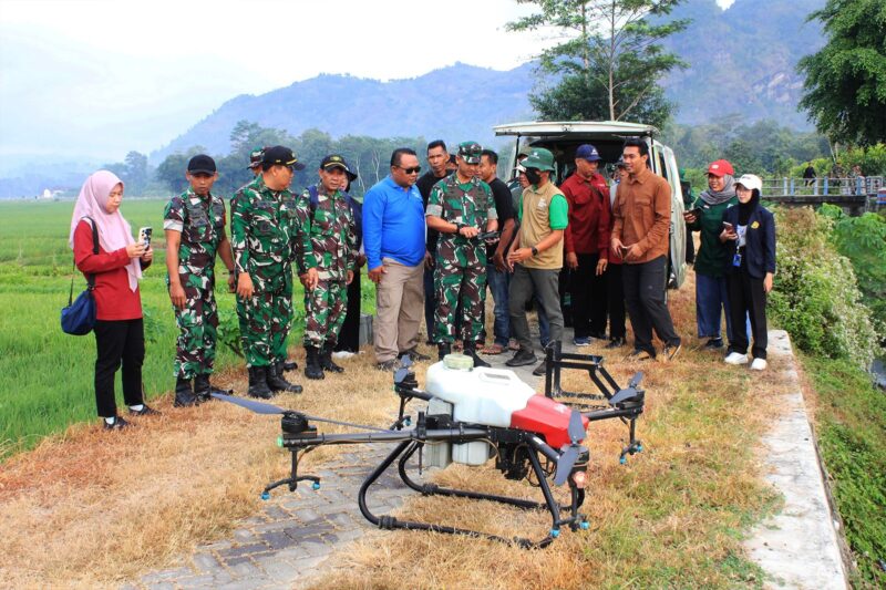 Sawah Diserang Wereng, TNI dan Petani Angkat Drone Jadi Senjata Utama