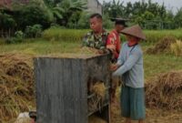 Babinsa dan Petani Desa Betak Bergotong Royong Wujudkan Swasembada Pangan