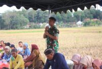 Guyub di Sawah, TNI Bersama Pemkab Trenggalek Rayakan Labuh Panen Padi