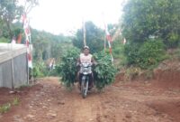 Jalan Baru di Ngranget, Petani Kini Lebih Mudah Kirim Hasil Panen