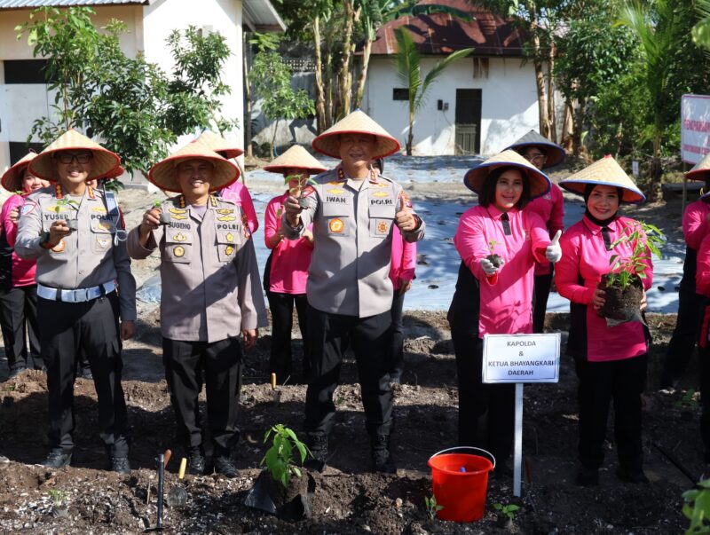 Kapolda Kalimantan Tengah Irjen Pol Iwan Kurniawan bersama Ketua Bhayangkari Kalteng Ny. Maya Iwan Kurniawan, didampingi pejabat utama Polda dan pengurus Bhayangkari, melakukan penanaman bibit sayuran di lahan Pekarangan Pangan Lestari (P2L) Mapolda Kalteng, Palangka Raya, Selasa (26/8/2025). Kegiatan ini merupakan wujud dukungan Polri terhadap program ketahanan pangan
