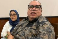 Foto: Razman Arif Nasution. (Dok-detikcom/Mulai)