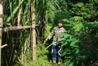 Foto: Letda Cke Isdayun, Perwira TNI AD yang Tekun Merawat Ladang Tebunya di Magetan.