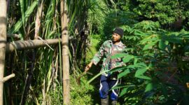 Foto: Letda Cke Isdayun, Perwira TNI AD yang Tekun Merawat Ladang Tebunya di Magetan.