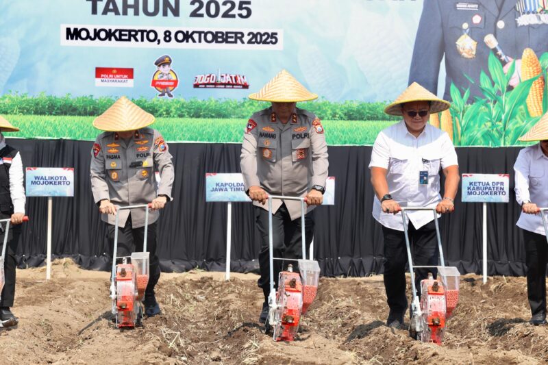 Foto: Kapolda Jawa Timur Irjen Pol Drs. Nanang Avianto, M.Si., bersama Wakapolda Brigjen Pol Pasma Royce, Forkopimda, dan pejabat terkait melakukan penanaman jagung serentak Kuartal IV tahun 2025 di lahan produktif SPN Polda Jatim, Desa Pacing, Kecamatan Bangsal, Mojokerto.