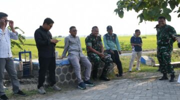 Foto: Danrem 081/DSJ Kolonel Arm Untoro Hariyanto meninjau lahan pertanian padi di Desa Binoyo, Kecamatan Padas, Kabupaten Ngawi, Jumat (10/10/2025).