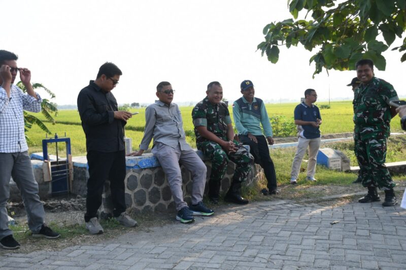 Foto: Danrem 081/DSJ Kolonel Arm Untoro Hariyanto meninjau lahan pertanian padi di Desa Binoyo, Kecamatan Padas, Kabupaten Ngawi, Jumat (10/10/2025).