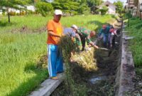 Foto: Babinsa Kelurahan Kampungdalem, Sertu Tugimin bersama warga bergotong royong membersihkan saluran air dari sampah dan rumput liar di Kecamatan Tulungagung, Sabtu (11/10/2025). 