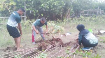 Foto:Dari kebun belakang rumahnya, Letda Isdayun meneguhkan satu pesan: bahwa berbagi tak harus menunggu berlebih.