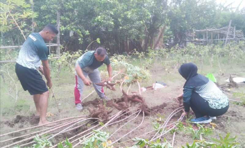 Foto:Dari kebun belakang rumahnya, Letda Isdayun meneguhkan satu pesan: bahwa berbagi tak harus menunggu berlebih.