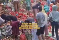 Foto: Warga Berbondong-bondong Kumpulkan Bawang yang Dibuang di Melcem, Batam.