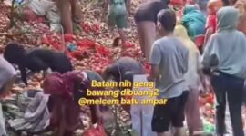 Foto: Warga Berbondong-bondong Kumpulkan Bawang yang Dibuang di Melcem, Batam.