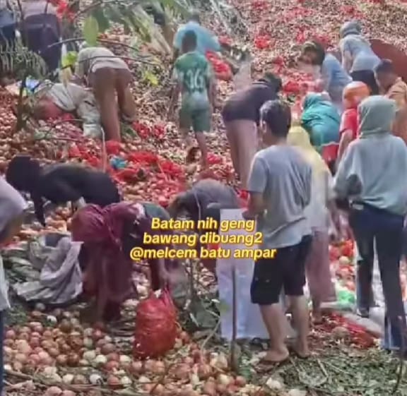 Foto: Warga Berbondong-bondong Kumpulkan Bawang yang Dibuang di Melcem, Batam.