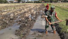 Foto: Serma Muyoto dari Koramil Tipe B 0807/02 Boyolangu.