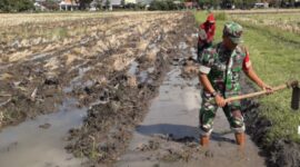 Foto: Serma Muyoto dari Koramil Tipe B 0807/02 Boyolangu.