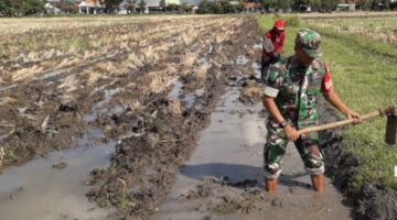 Foto: Serma Muyoto dari Koramil Tipe B 0807/02 Boyolangu.
