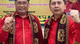 Foto: Wakil Ketua Umum SOKSI, Riko Heryanto, ST, MM. (Dok-Istimewa)