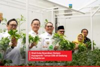 Foto: Wali Kota Jakarta Pusat Resmikan Sistem Aquaponik Taman Etik di Kantor DKPP