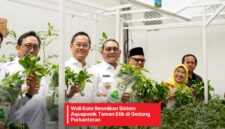 Foto: Wali Kota Jakarta Pusat Resmikan Sistem Aquaponik Taman Etik di Kantor DKPP