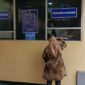 Foto: Pada Jumat (28/11/2025), warga yang mengurus dokumen kendaraan kini merasakan perubahan signifikan, mulai dari proses yang lebih ringkas hingga sikap petugas yang lebih ramah. (Dok-Istimewa)