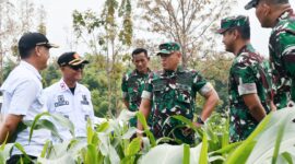 Foto: Danrem 081/DSJ bersama jajaran Kodim dan unsur terkait meninjau area pertanian di sebuah lokasi lahan produktif.