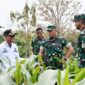 Foto: Danrem 081/DSJ bersama jajaran Kodim dan unsur terkait meninjau area pertanian di sebuah lokasi lahan produktif.